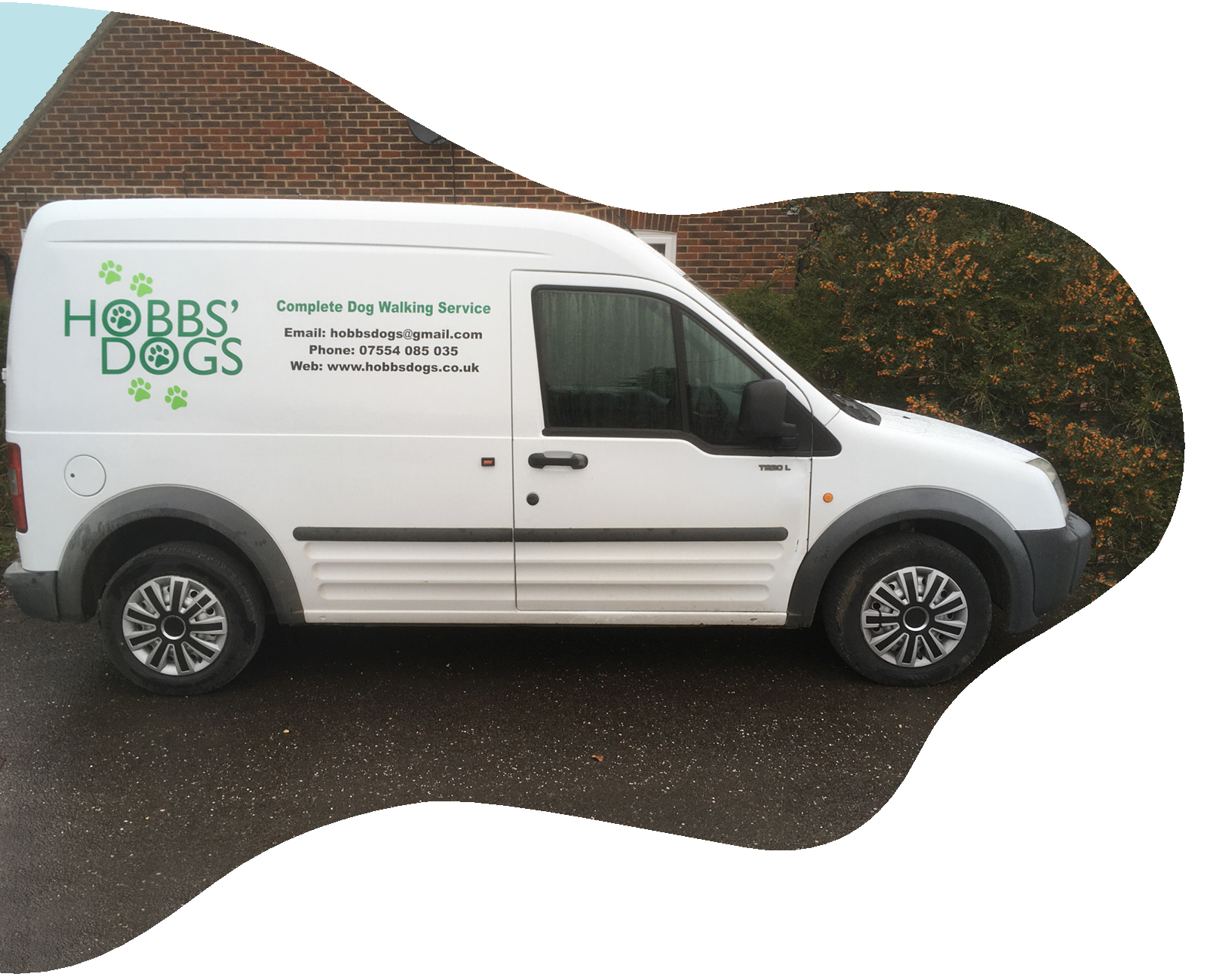 Dog Walker Vehicle 